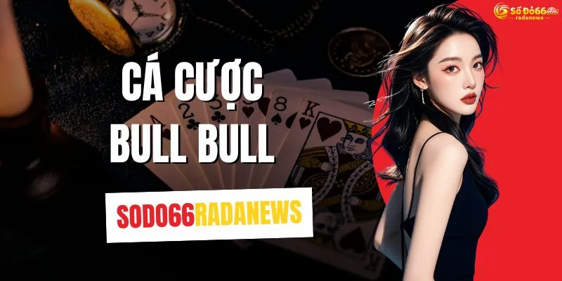 Cá Cược Bull Bull