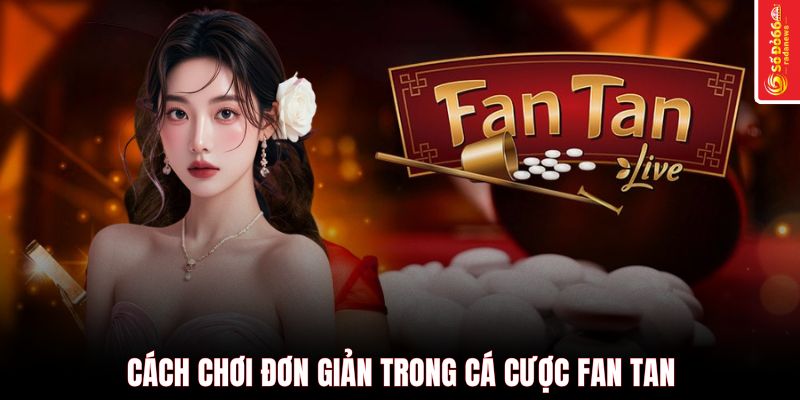 Cách chơi đơn giản trong cá cược FAN TAN