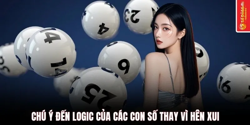 Chú ý đến logic của các con số thay vì hên xui