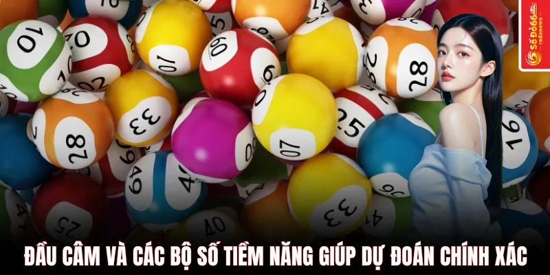 Đầu câm và các bộ số tiềm năng giúp dự đoán chính xác