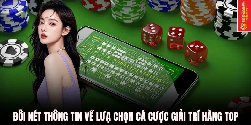 Đôi nét thông tin về lựa chọn cá cược giải trí hàng top