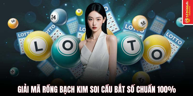 Giải mã rồng bạch kim soi cầu bắt số chuẩn 100%