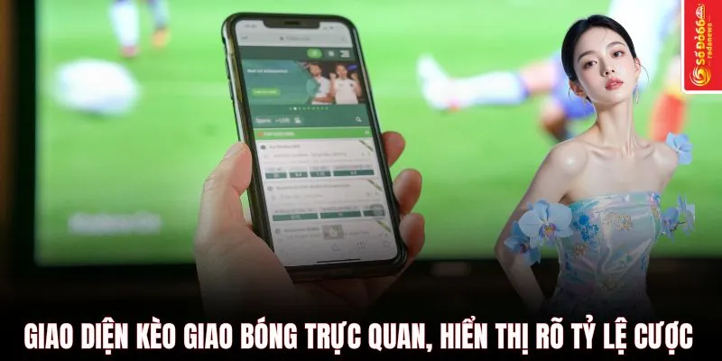 Giao diện kèo giao bóng trực quan, hiển thị rõ tỷ lệ cược