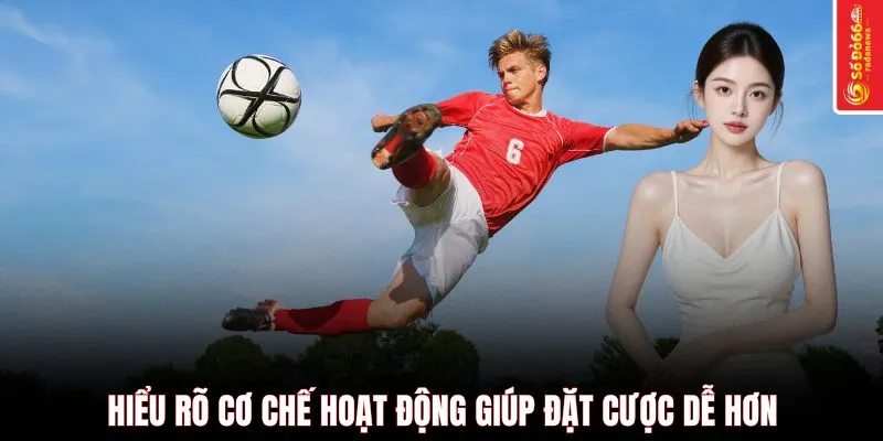 Hiểu rõ cơ chế hoạt động giúp đặt cược dễ hơn