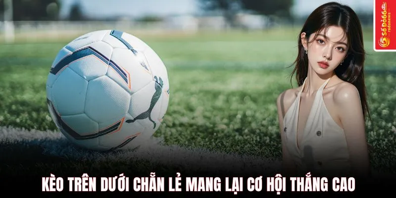 Kèo trên dưới chẵn lẻ mang lại cơ hội thắng cao