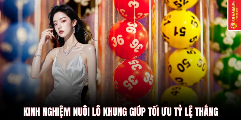 Kinh nghiệm nuôi lô khung giúp tối ưu tỷ lệ thắng