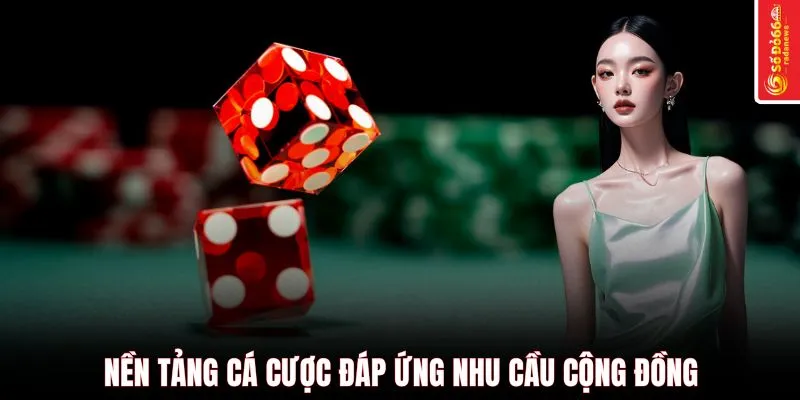 Nền tảng cá cược đáp ứng nhu cầu cộng đồng
