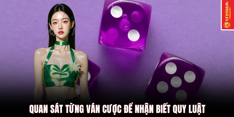 Quan sát từng ván cược để nhận biết quy luật