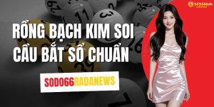 Rồng Bạch Kim Soi Cầu Bắt Số Chuẩn 100%