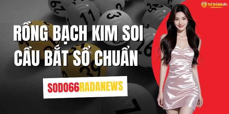 Rồng Bạch Kim Soi Cầu Bắt Số Chuẩn 100%