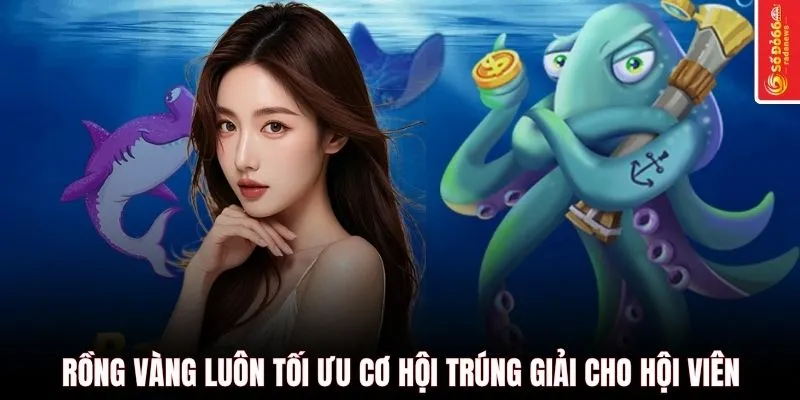 Rồng vàng luôn tối ưu cơ hội trúng giải cho hội viên