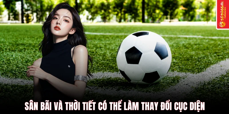 Sân bãi và thời tiết có thể làm thay đổi cục diện