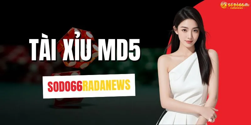Tài Xỉu MD5