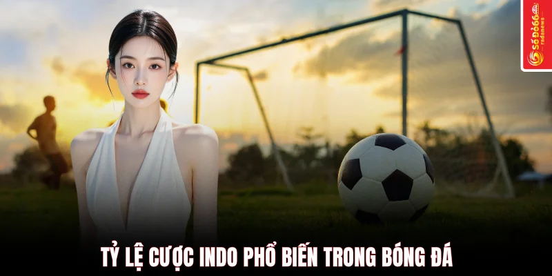 Tỷ lệ cược Indo phổ biến trong bóng đá