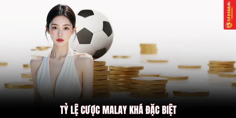 Tỷ lệ cược Malay khá đặc biệt